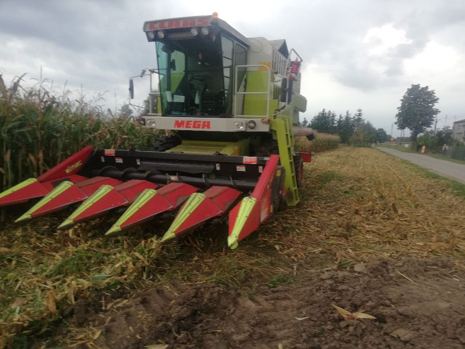 SKUP ZBÓŻ I MOKREJ KUKURYDZY Koszenie i SIEW Kukurydzy Usługi Rolnicze