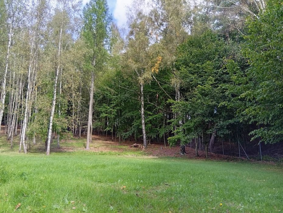Na sprzedaż działka 2000 m² – Piekło Górne, gm. Przywidz