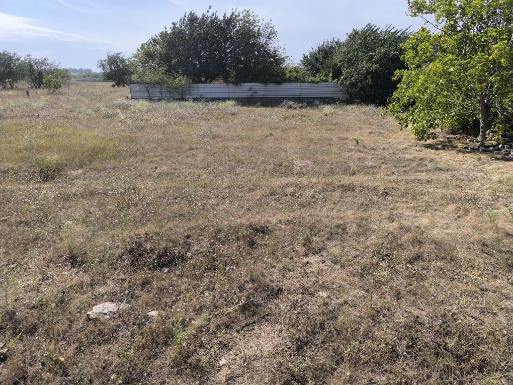 Земельна ділянка