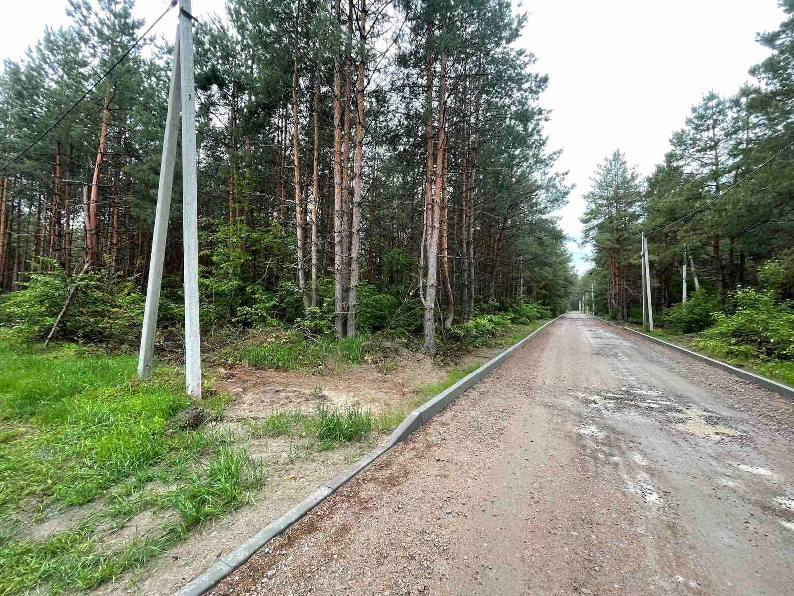 Продажа участков в сосновом лесу,12соток, Пуховка,Быковня,Киев,Погребы