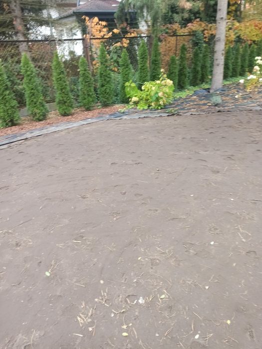 Usługi ogrodowe porządkowe pielęgnacyjne