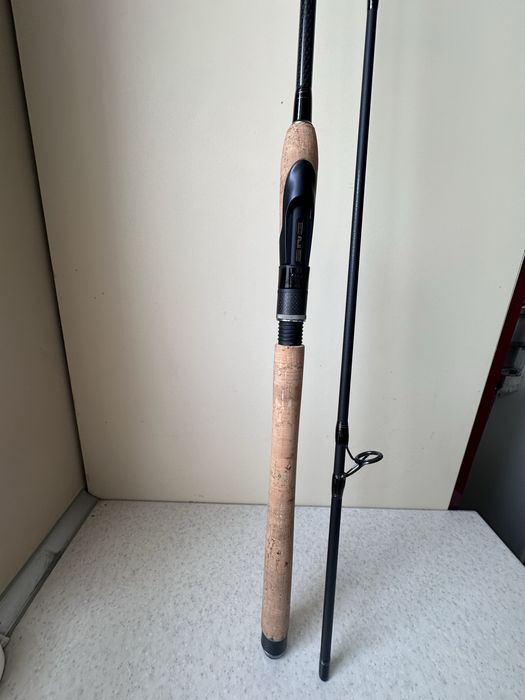 Wędka Daiwa R Nessa spining