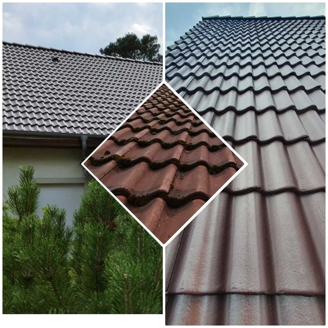 Mycie Dachów malowanie dachów czyszczenie dachu elewacji