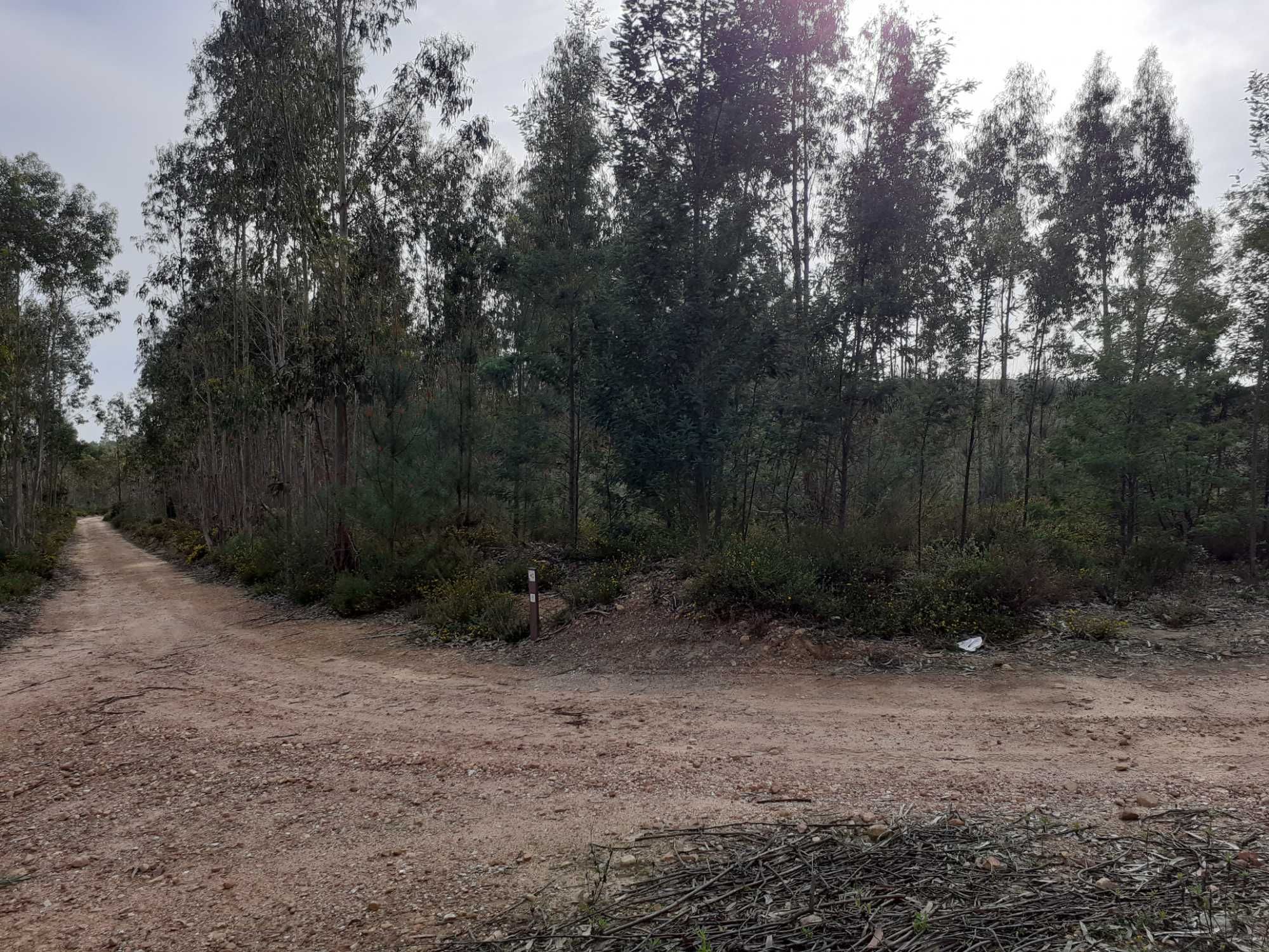Terreno rústico com 17000m2