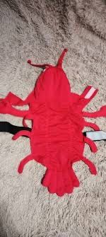 Костюм для собаки краб/ рак