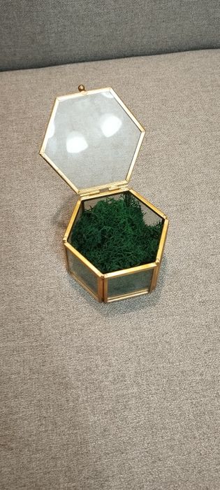 Pudełko na obrączki + mech butelkowy