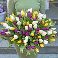 Букети тюльпан доставка квітів
