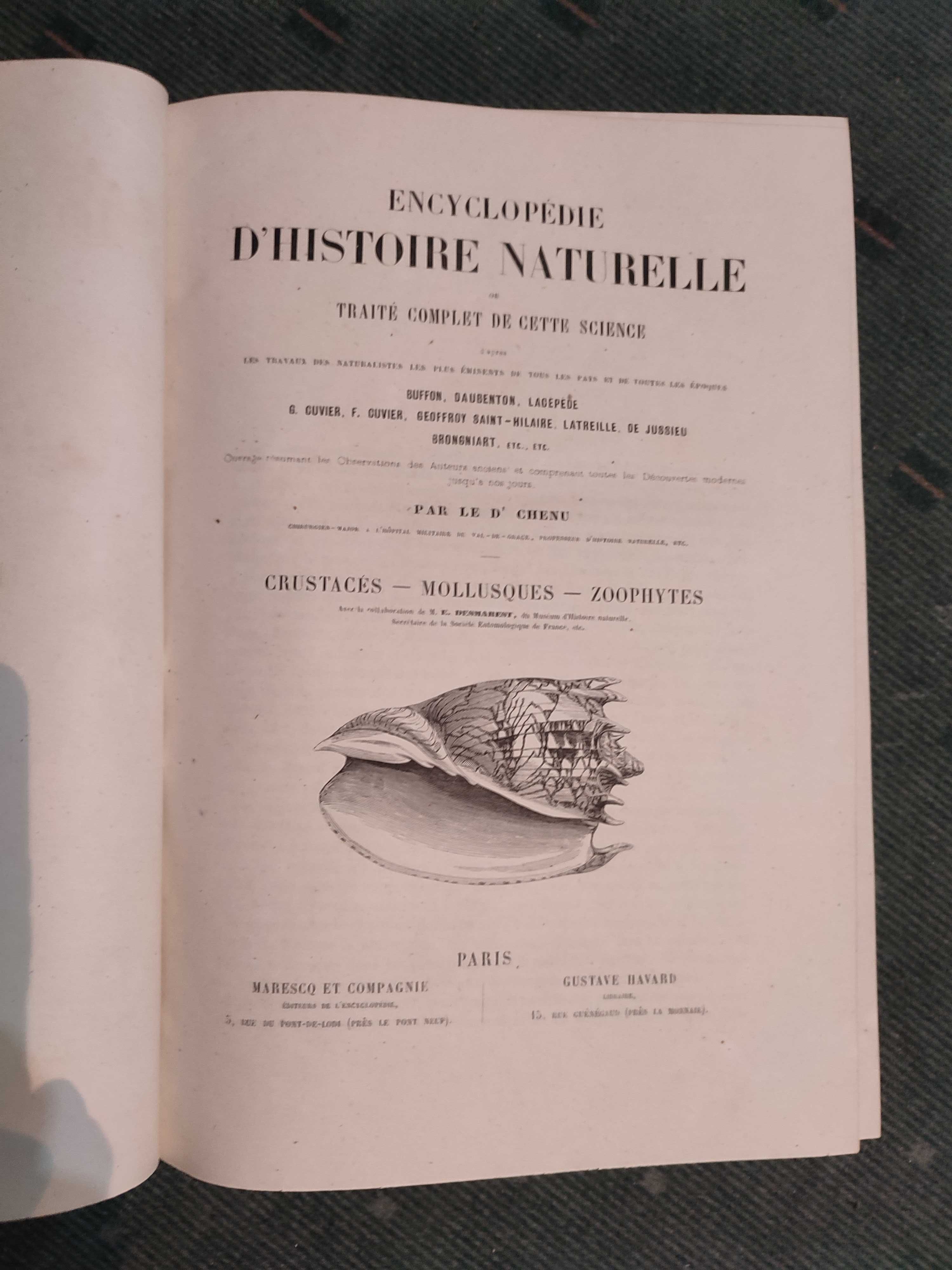 Encyclopédie D'Histoire Naturelle Traité Complet-Crustaces, Moll, Zoop