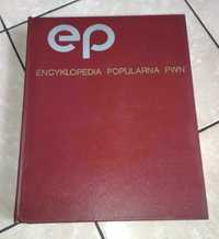 Encyklopedia popularna PWM 1982 , NOWA