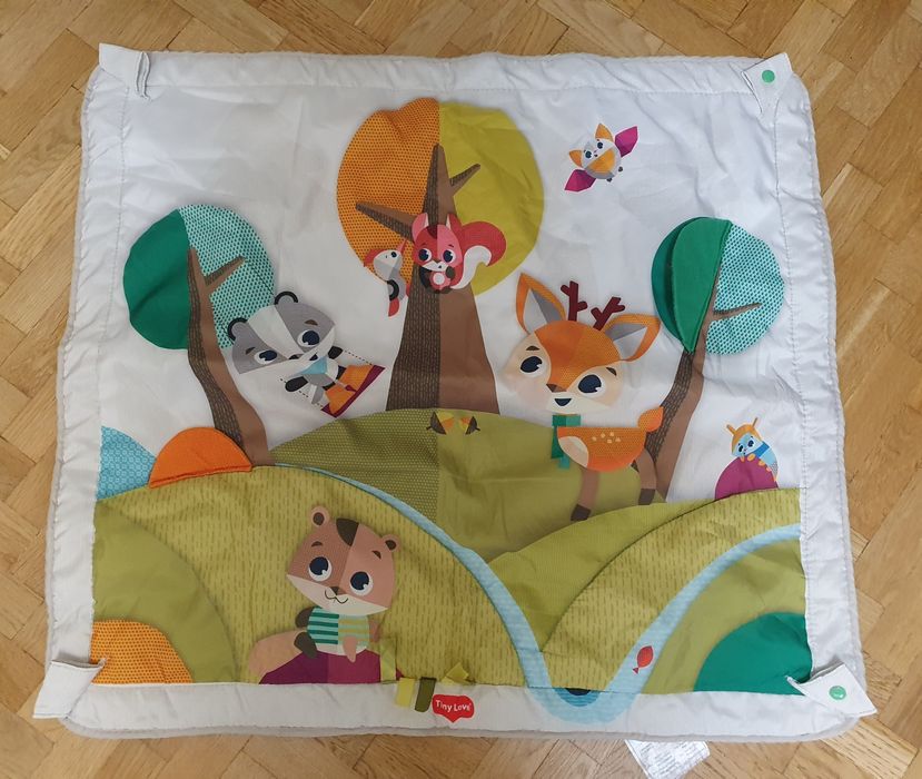 Розвиваючий коврик з дугами Tiny love