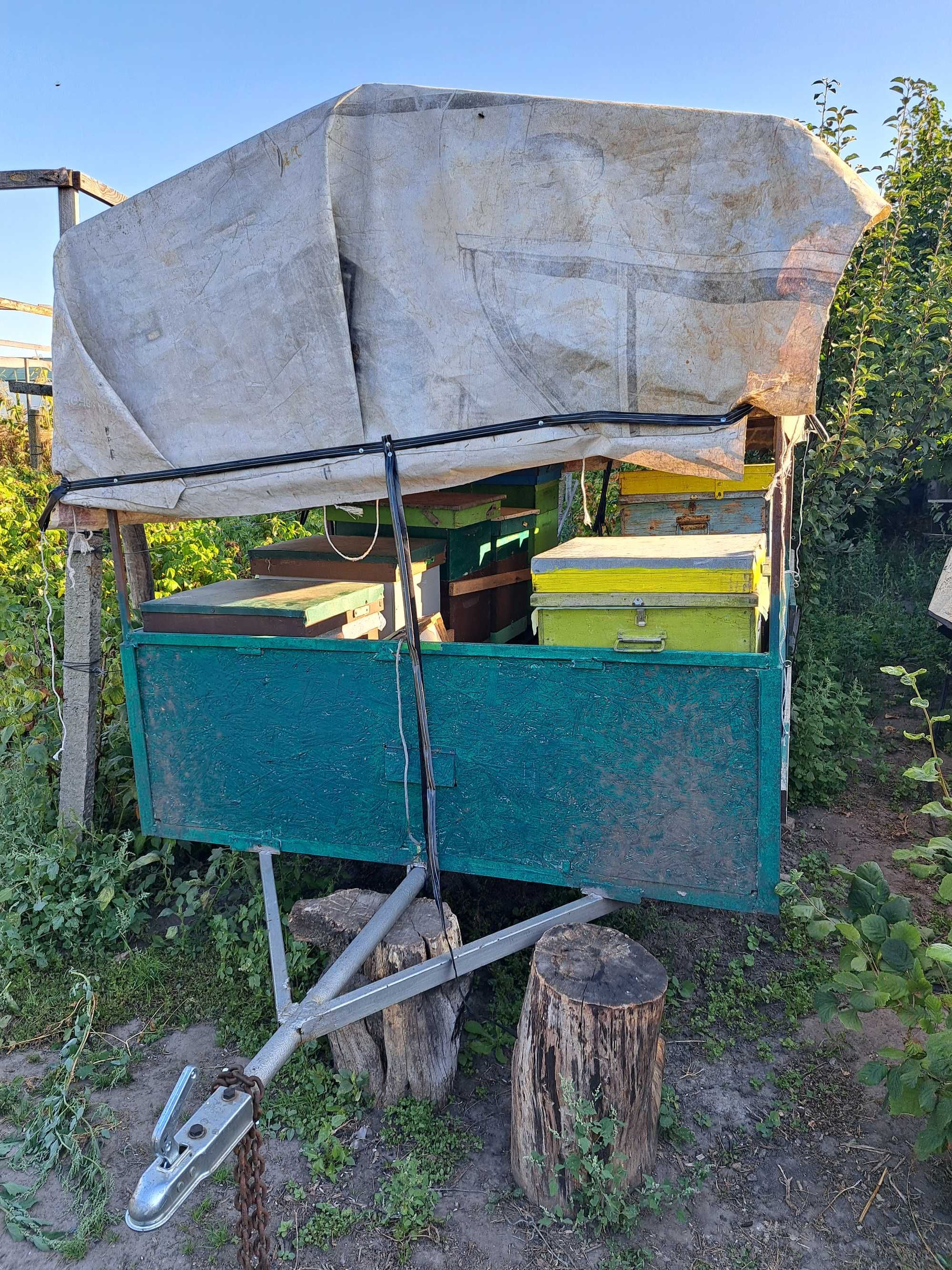 прицеп  перевезення  пасики