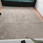 Dywan Ikea adum 170x240