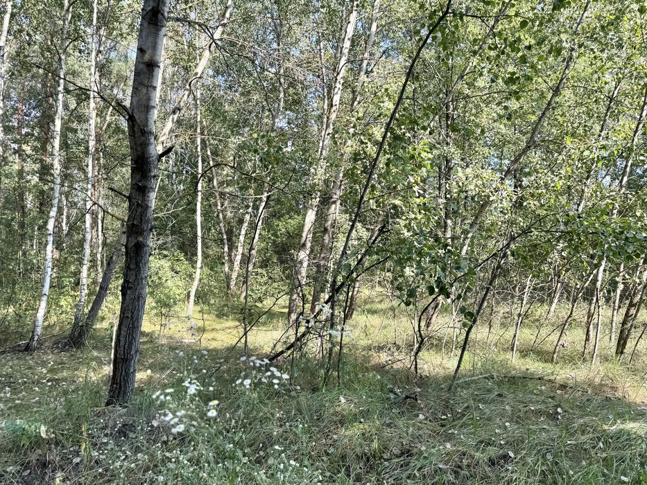 Земельна ділянка 1 га поруч з великим лісом!!!с.Здвижівка.
