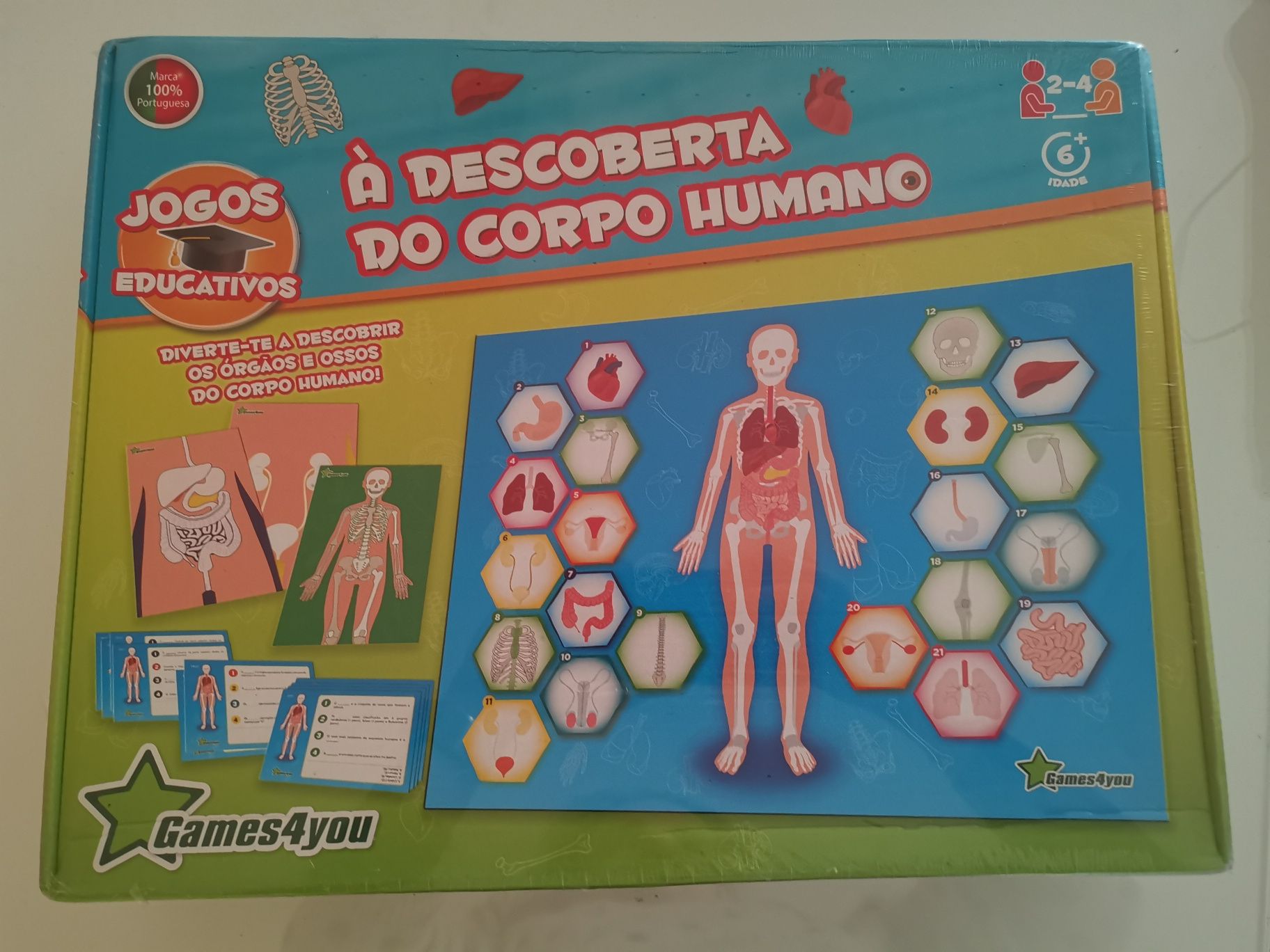 Jogo NOVO Corpo Humano