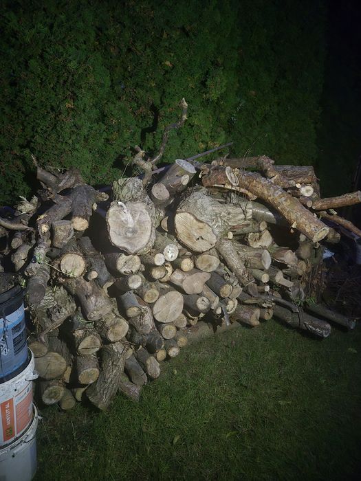 Drewno opałowe sosna/ brzoza