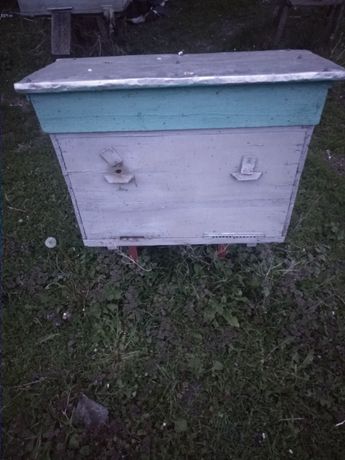 продам український вулик з бджолами