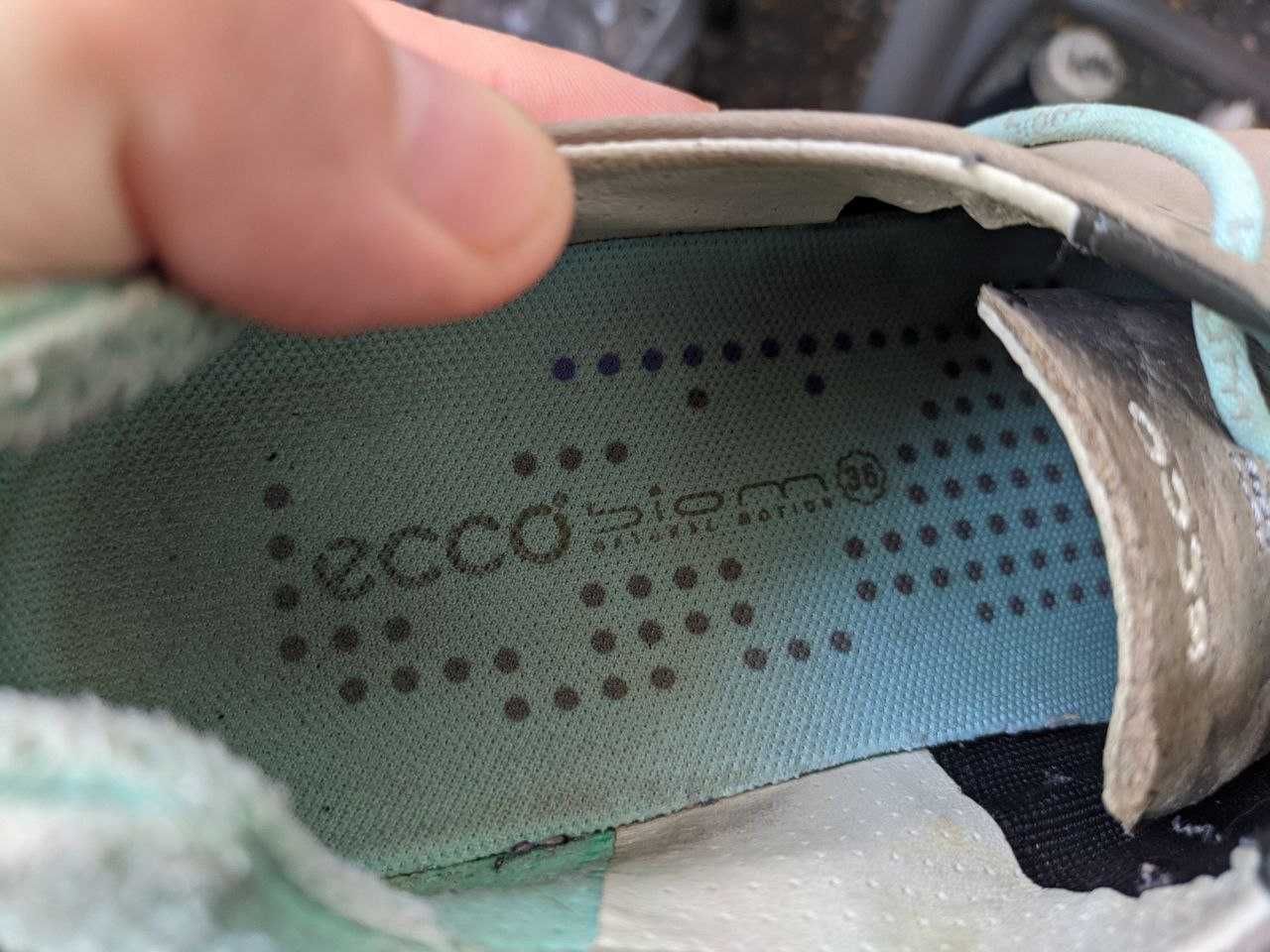 Кросівки Ecco Lite Biom