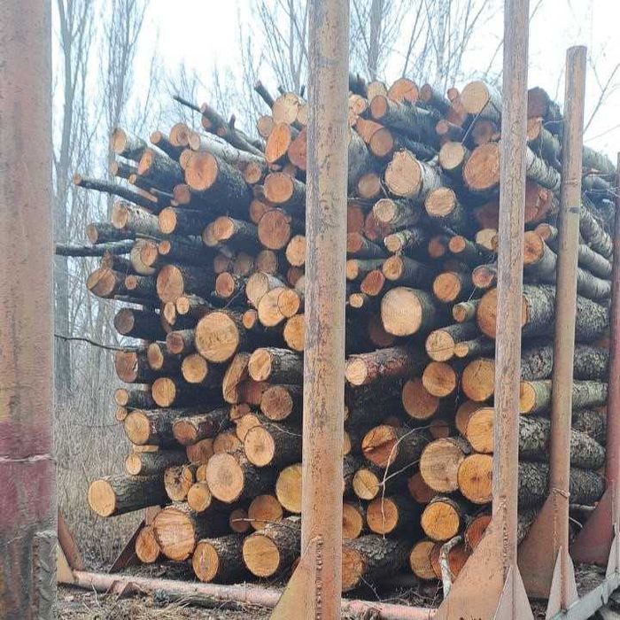 Дрова кругляк 2м сосна, береза, вільха