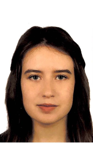 Język angielski korepetycje, z dojazdem  i online