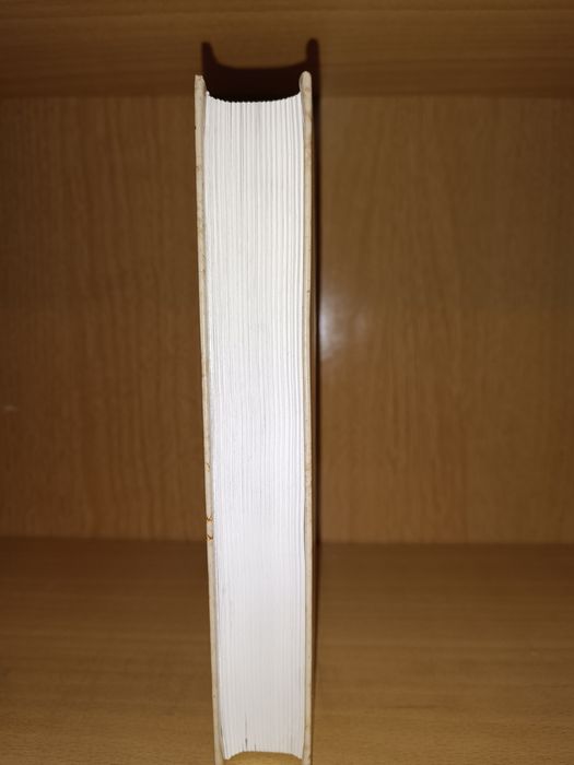 Луи Байяр. Всевидящее око