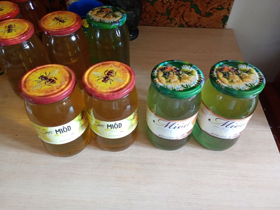 Miód nawłociowy  900 ml