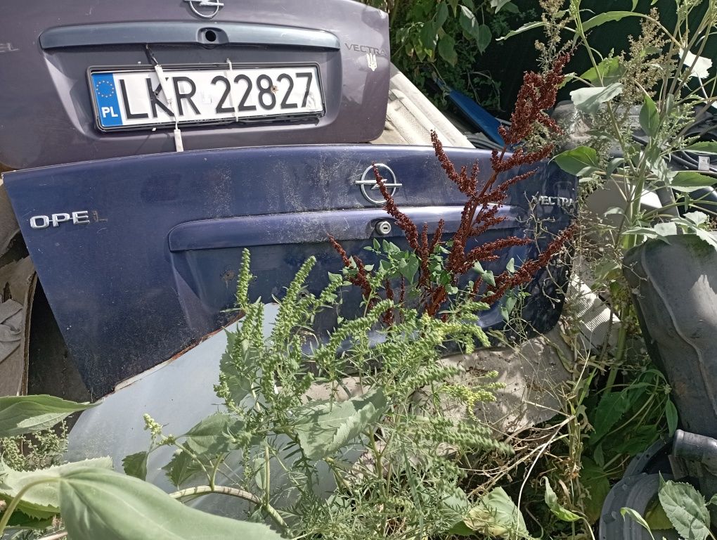 Продам двері капоти крила бампера кришки задні