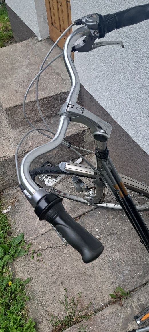 Rower Gazelle Davos