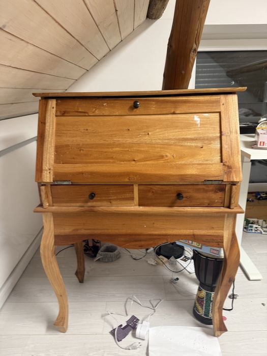 Sekretarzyk z drzewa mango