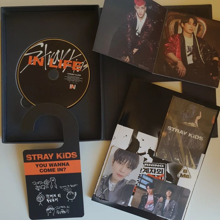 If Life Stray Kids versão limitada