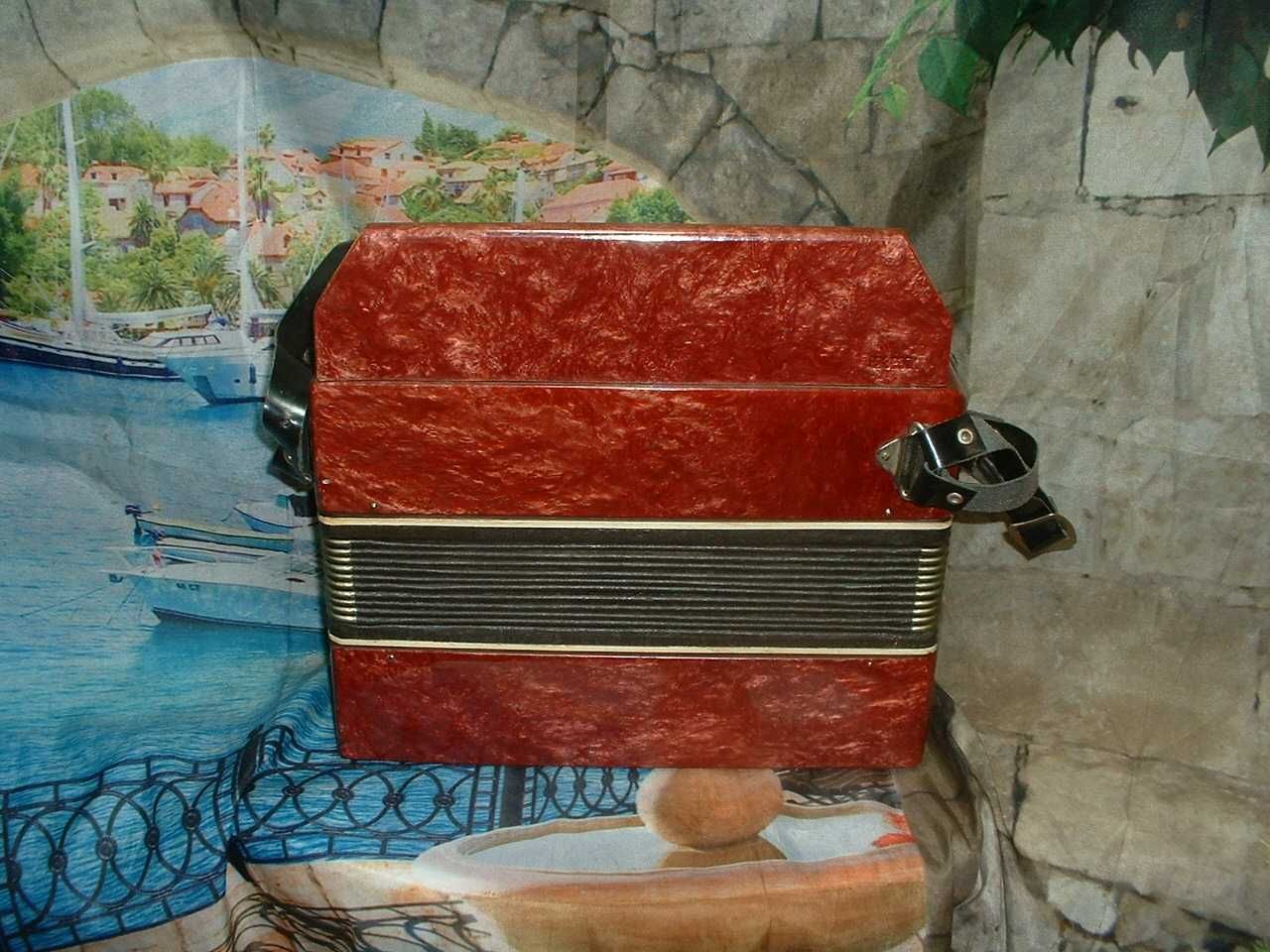 Acordeao para venda N, 1024