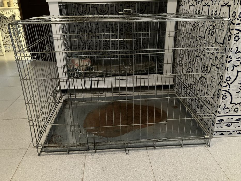 Transportadora Jaula Cães