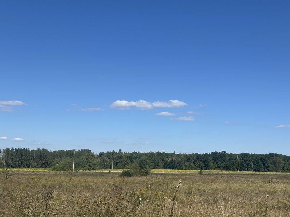 Пропонуємо до продажу земельну ділянкув с. Свидівок