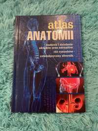 Atlas anatomiczny