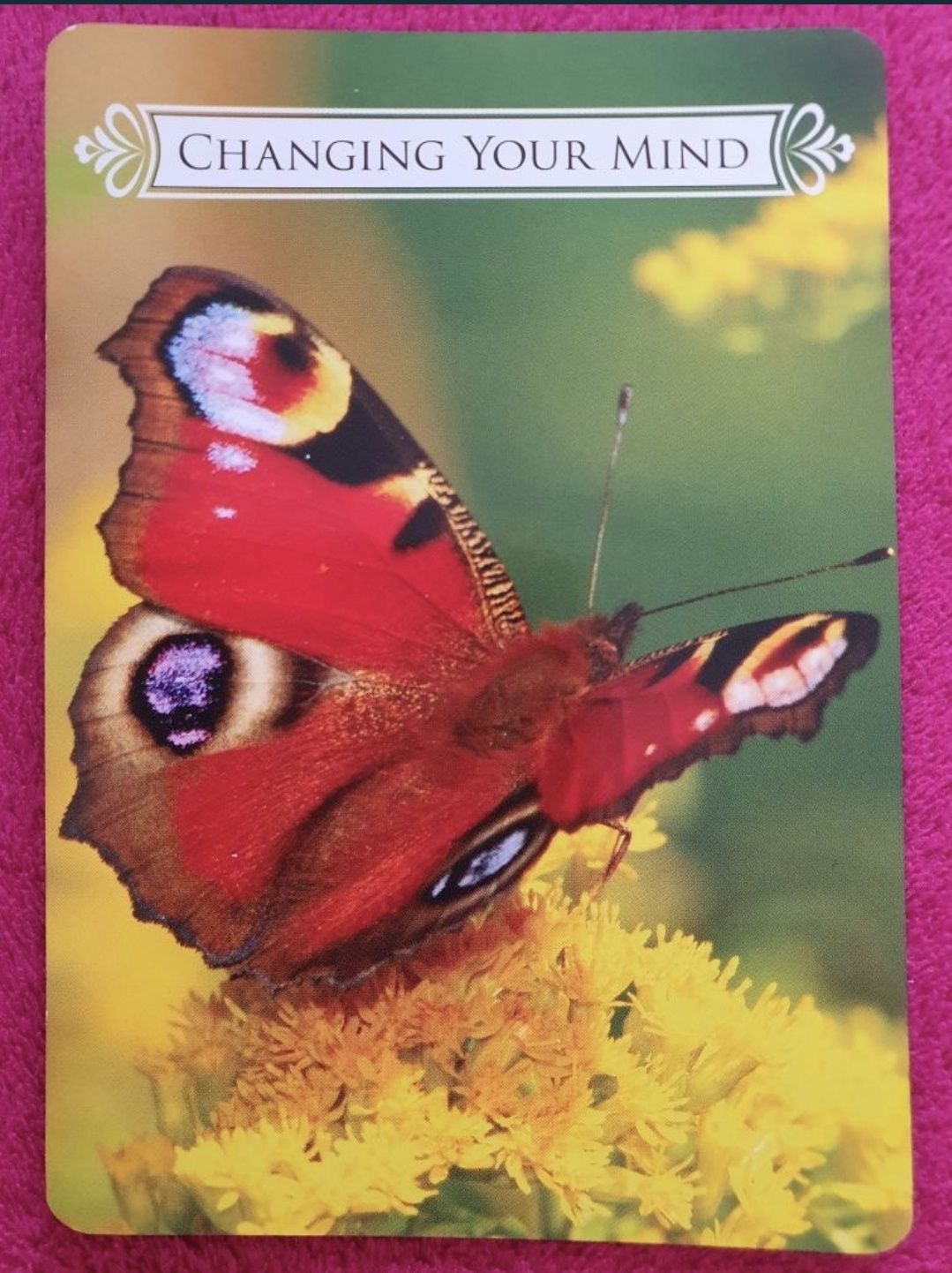 Karty Oryginalne Doreen Virtue Butterfly Oracle Cards Brak jednej kart