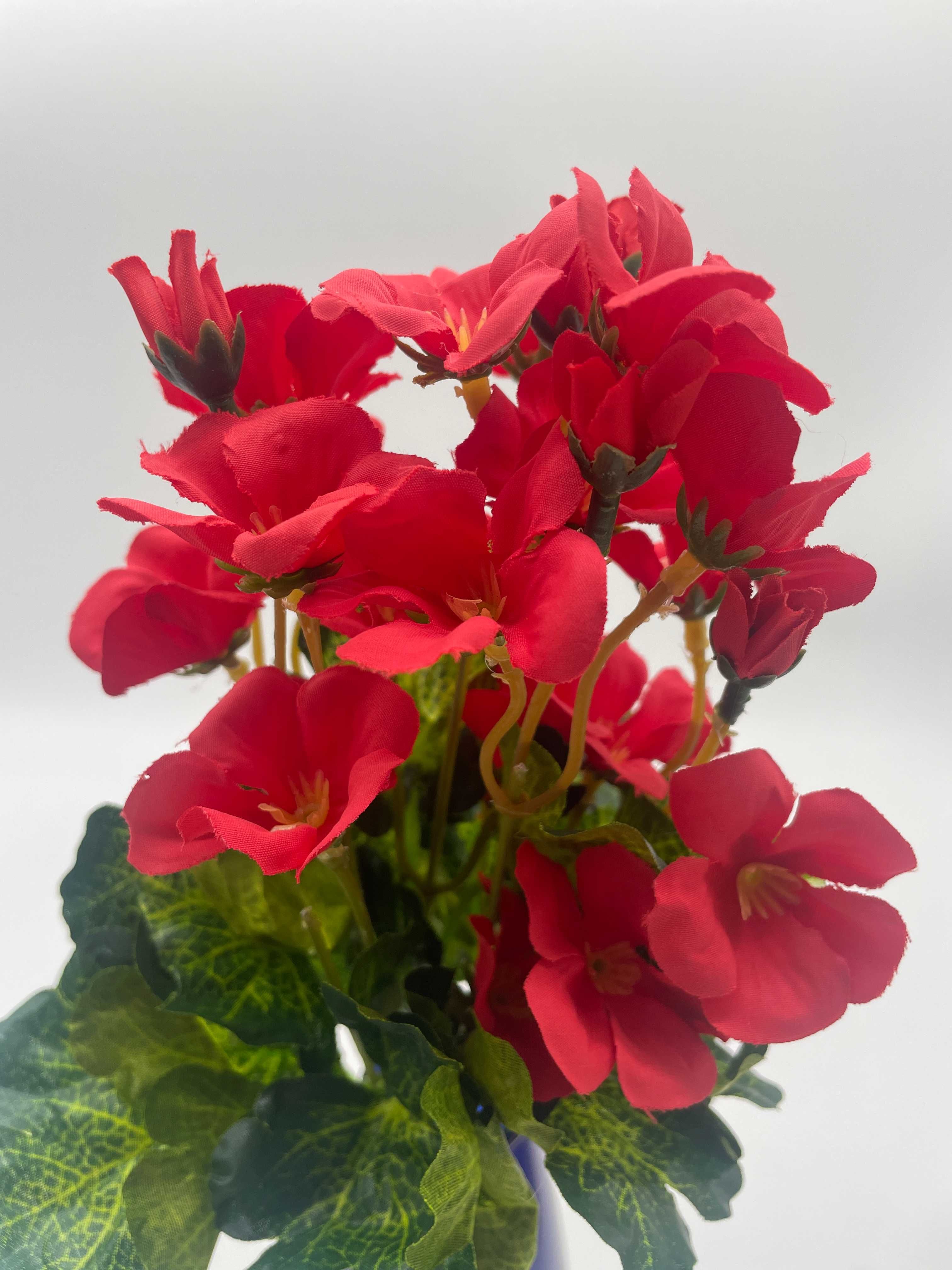 Pelargonia Czerwona Bukiet  WAZON TARAS BALKON DONICZKA 35cm