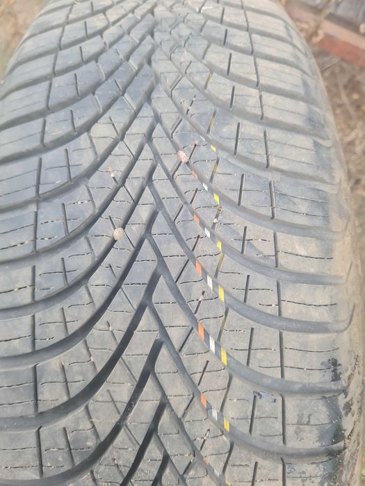 Opony caloroczne  dunlop 205/65 R15