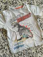 Koszulka chłopięca szara dinozaur surfer F&F 104