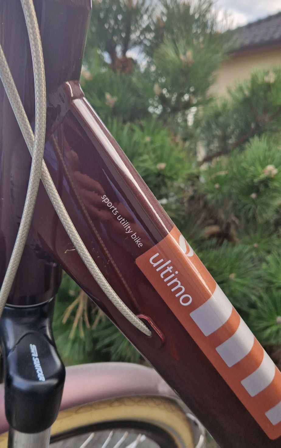 Rower Damka holenderska Giant Ultimo M