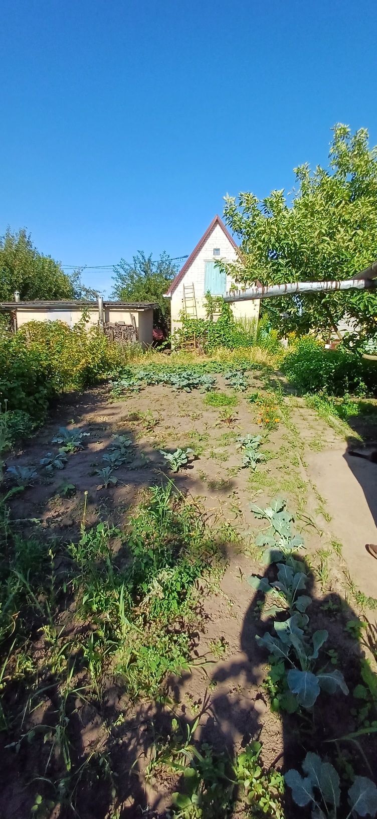 Будинок р-н Промавтоматика
