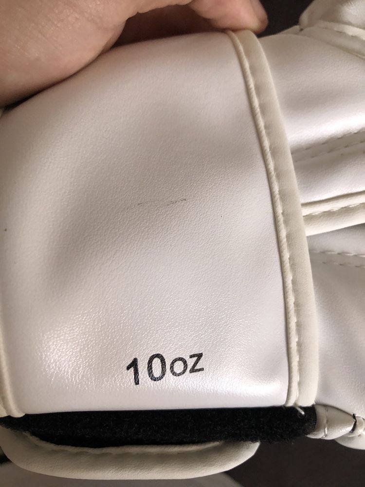 Боксерські рукавиці Clima 10 OZ