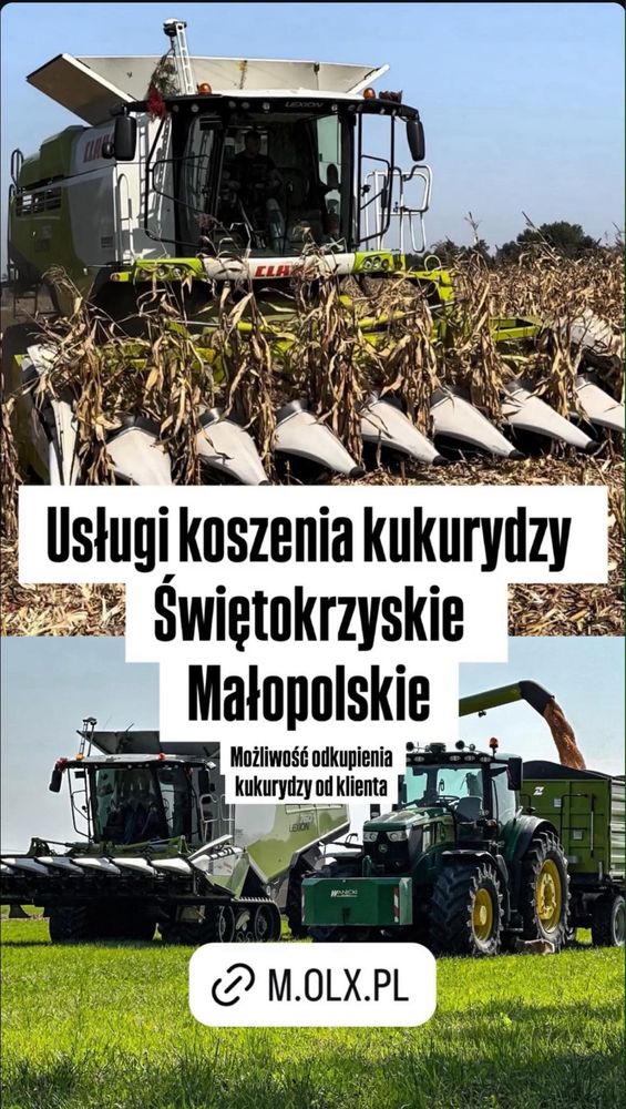 Usługi koszenia,zbioru zbóż,rzepaku,kukurydzy,usługi rolnicze