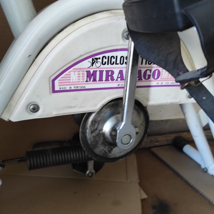 Bicicleta pedaleira fixa