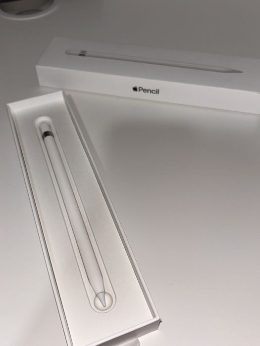 Apple Pencil (1 geração)
