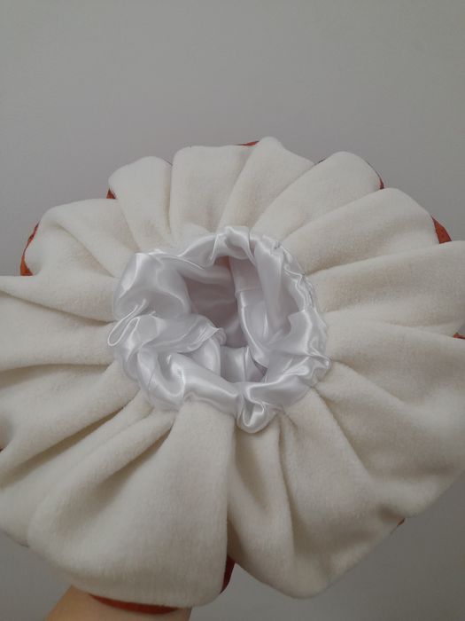 Шапка Гриб Боровик, підосичник, підберезовик. Шапка Гриба