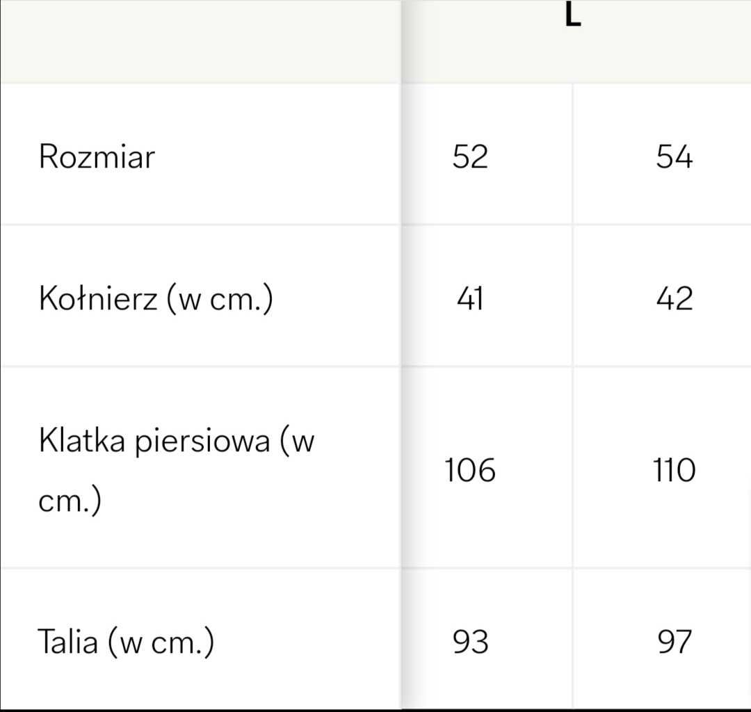 Płaszcz męski - mieszanka wełny