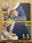 Język Polski Oblicza Epok 1.1 WSIP