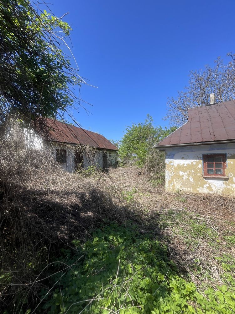 Продам будинок з територією від власника