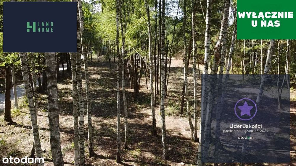 Działki budowlane w otoczeniu drzew