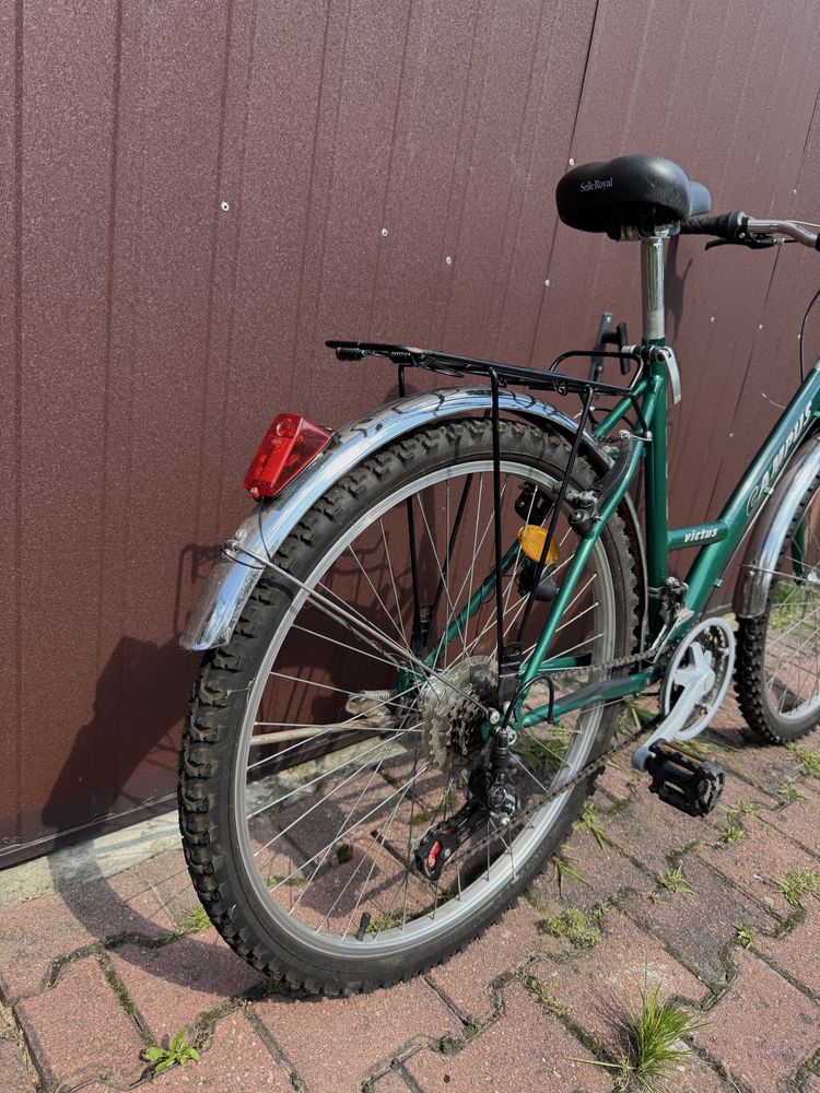 Rower damski Campus Victus, Shimano, 19”