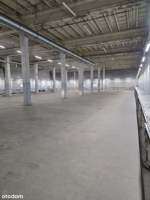 Do wynajęcia hala magazynowa powierzchnia od 100 do 800 Mkw